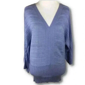 The Limited Sweater Size Lavender V Neck Dolman